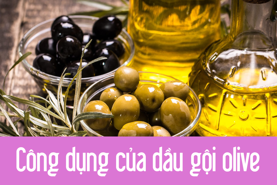 Công dụng của dầu gội Olive