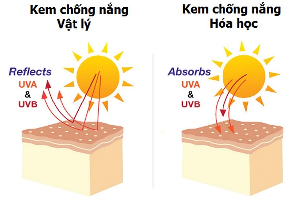 Sự khác nhau giữa kem chống nắng vật lý và kem chống nắng hóa học